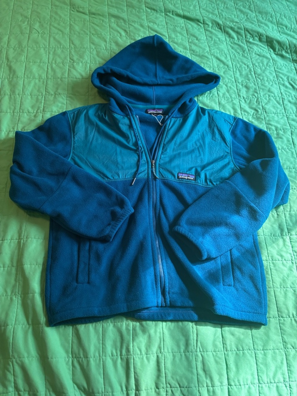 Patagonia Microdini Hoodie
